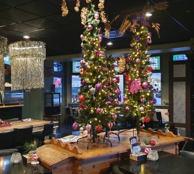 Vier Kerst bij Poort van Franeker